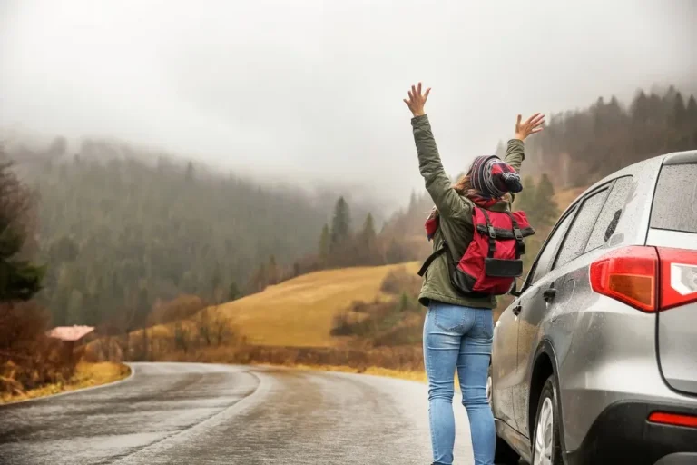 The Strategic Blueprint for Long-Distance Vehicle Transits: Comprehensive Family Road Trip Planning