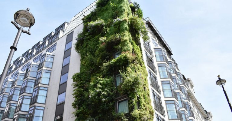 The Analytical Guide to Sustainable Lodging: Environmental and Operational Standards in Family Hospitality