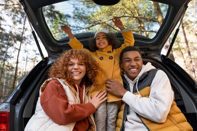 The Strategic Logistics Blueprint: International Family Vehicle Transits